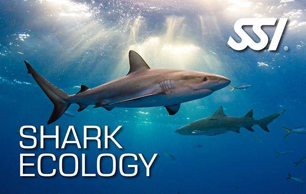 SSI Shark Ecology specialty
