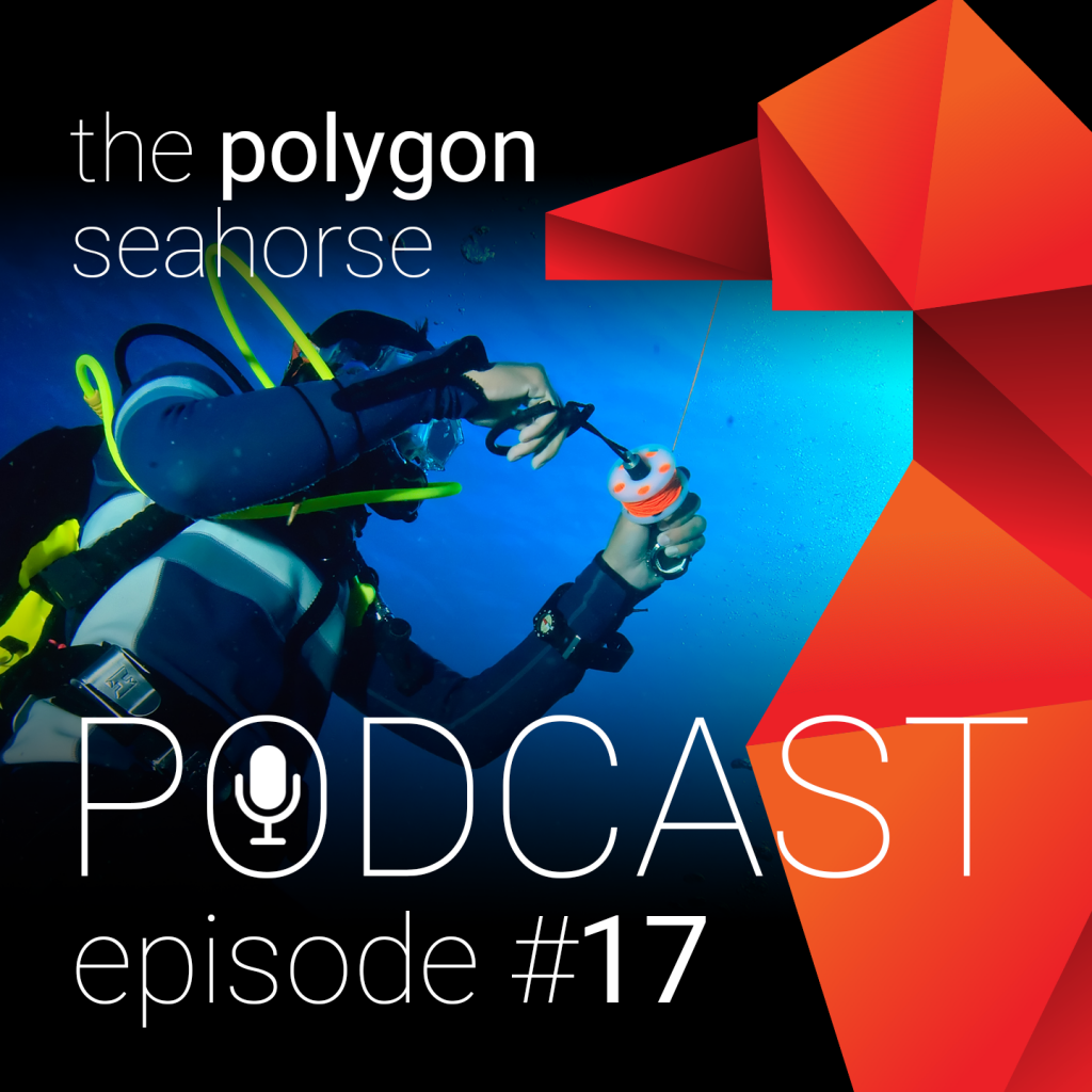 podcast-artwork_episode17 podcast over OSB, Reels en Spoelen