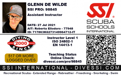 SSI Assistant Instructor