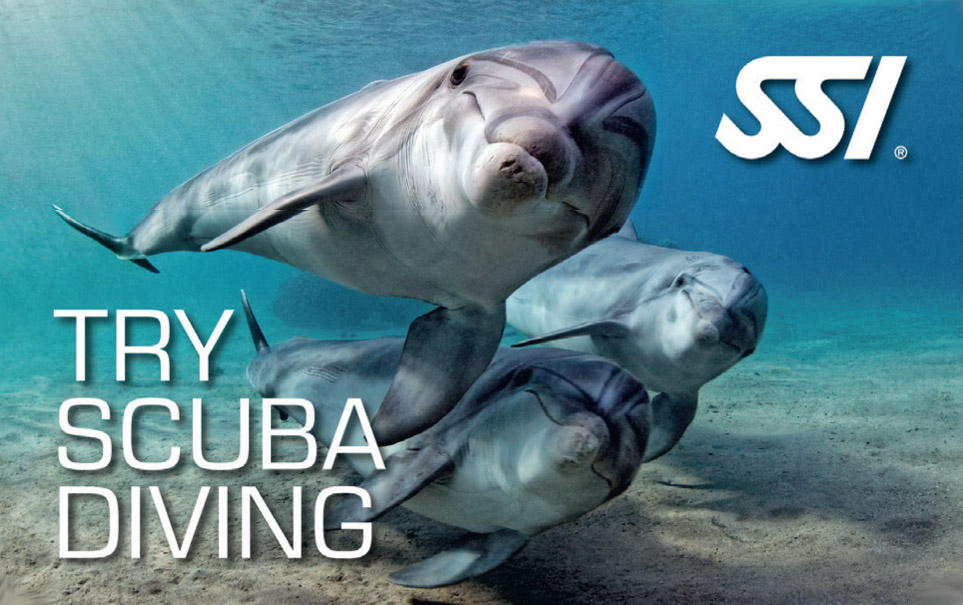 Try-Scuba-Diving Try Scuba