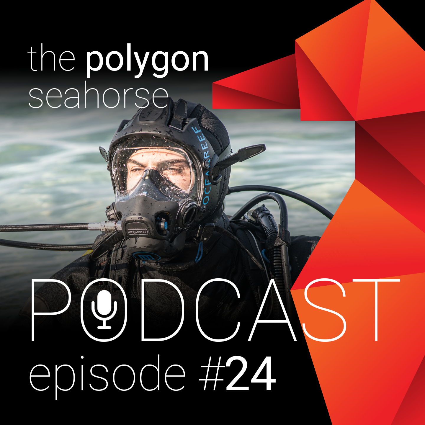 Smerig Ik denk dat ik ziek ben aantrekken Duiken met een volgelaatsmasker - Ocean Reef - the polygon seahorse podcast